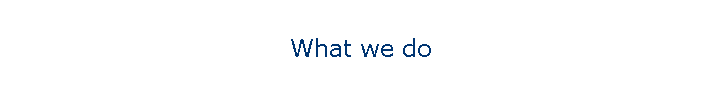 What we do